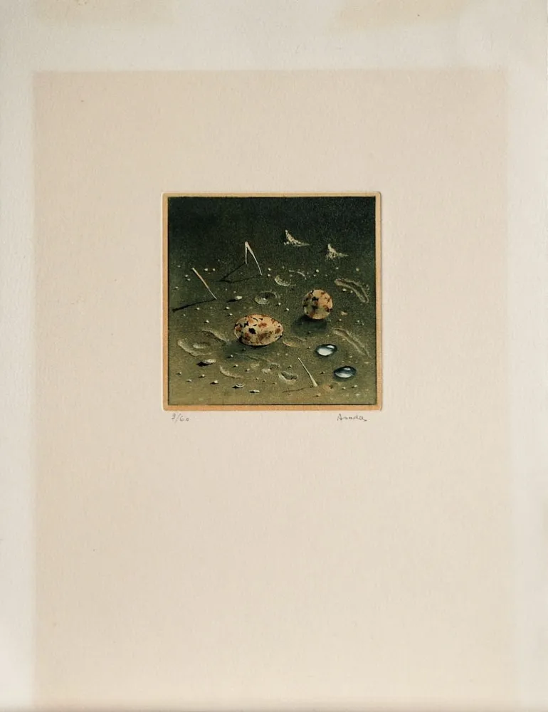 アクチアント Asada - Composition, ca.