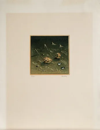 アクチアント Asada - Composition, ca.