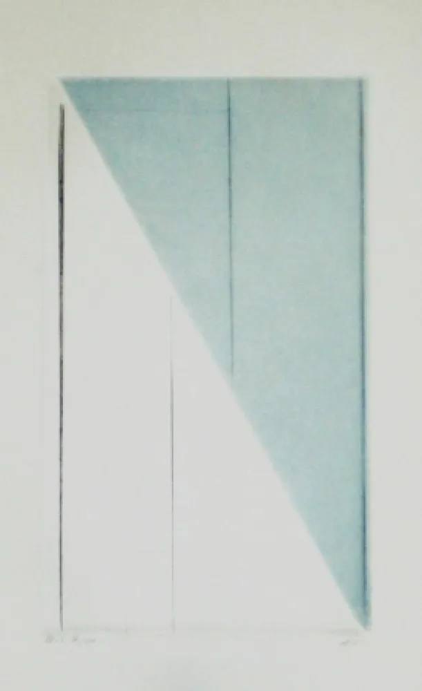 アクチアント Asse - Verticales sur un versant