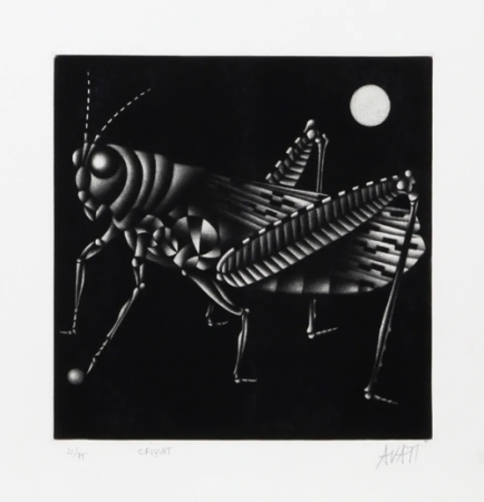 メゾチント彫法 Avati - Criquet