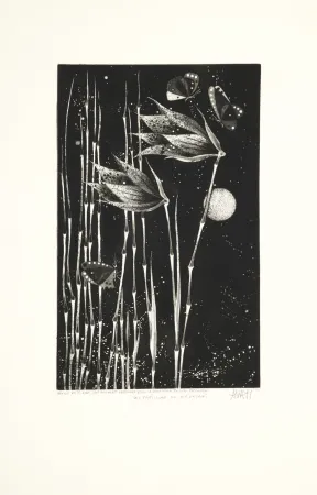 アクチアント Avati - Les papillons de Nagasaki