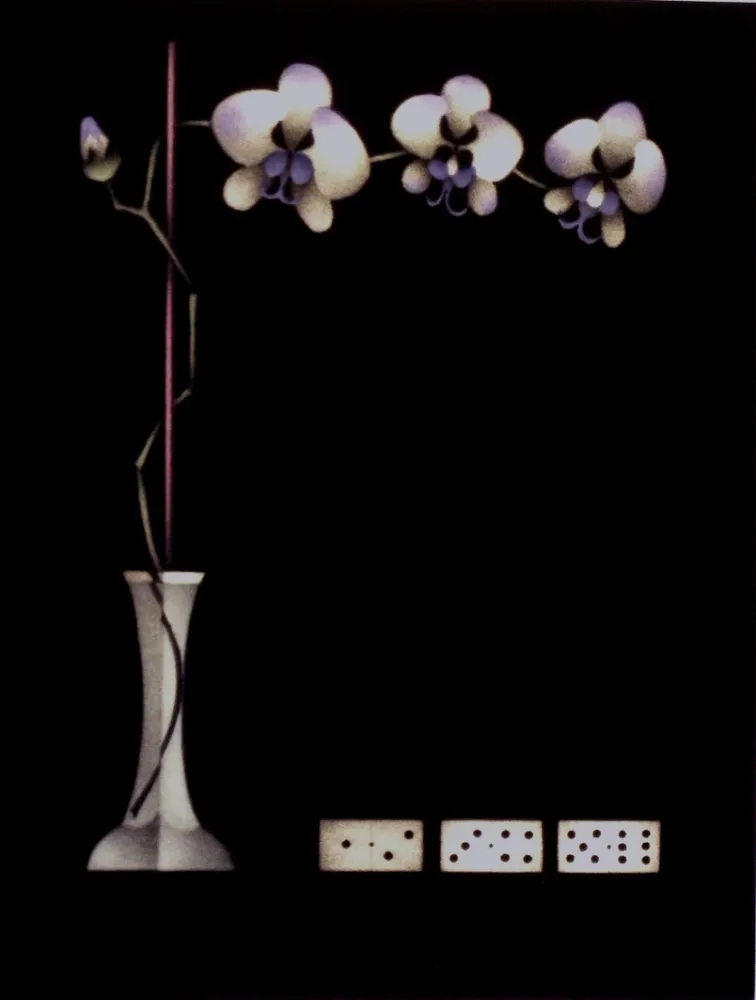 メゾチント彫法 Avati - Une théorie de dominos