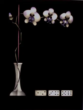 メゾチント彫法 Avati - Une théorie de dominos