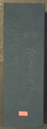 挿絵入り本 Azuma - Staras