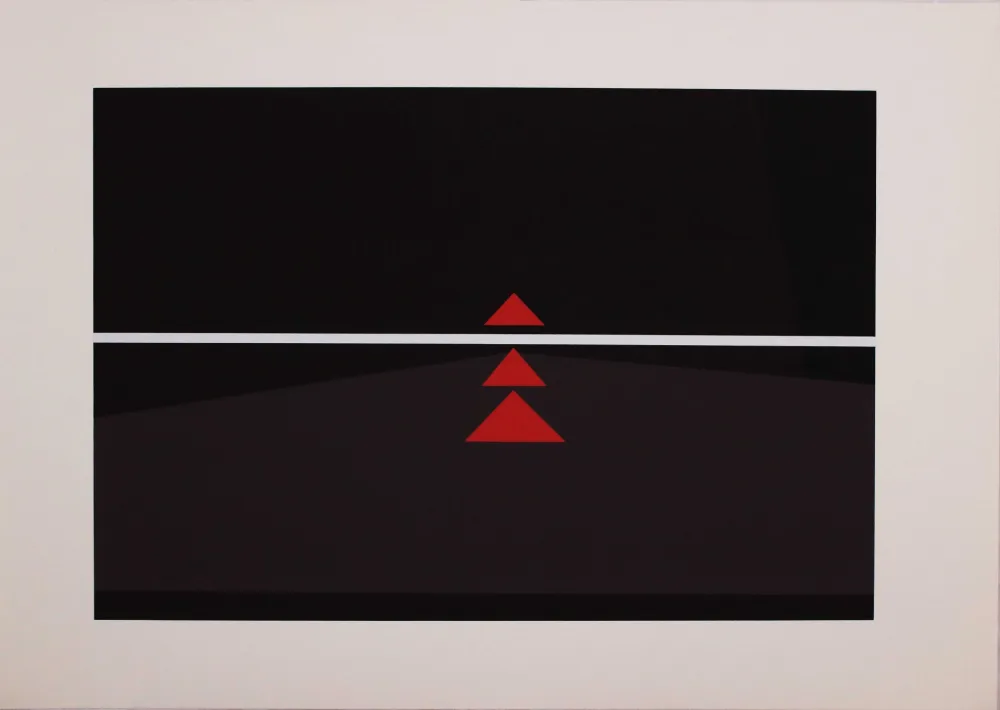 シルクスクリーン Badiali - Sei fasi progressive di verticalità elastica