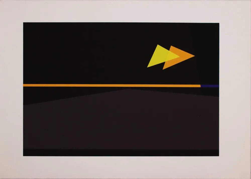 シルクスクリーン Badiali - Sei fasi progressive di verticalità elastica