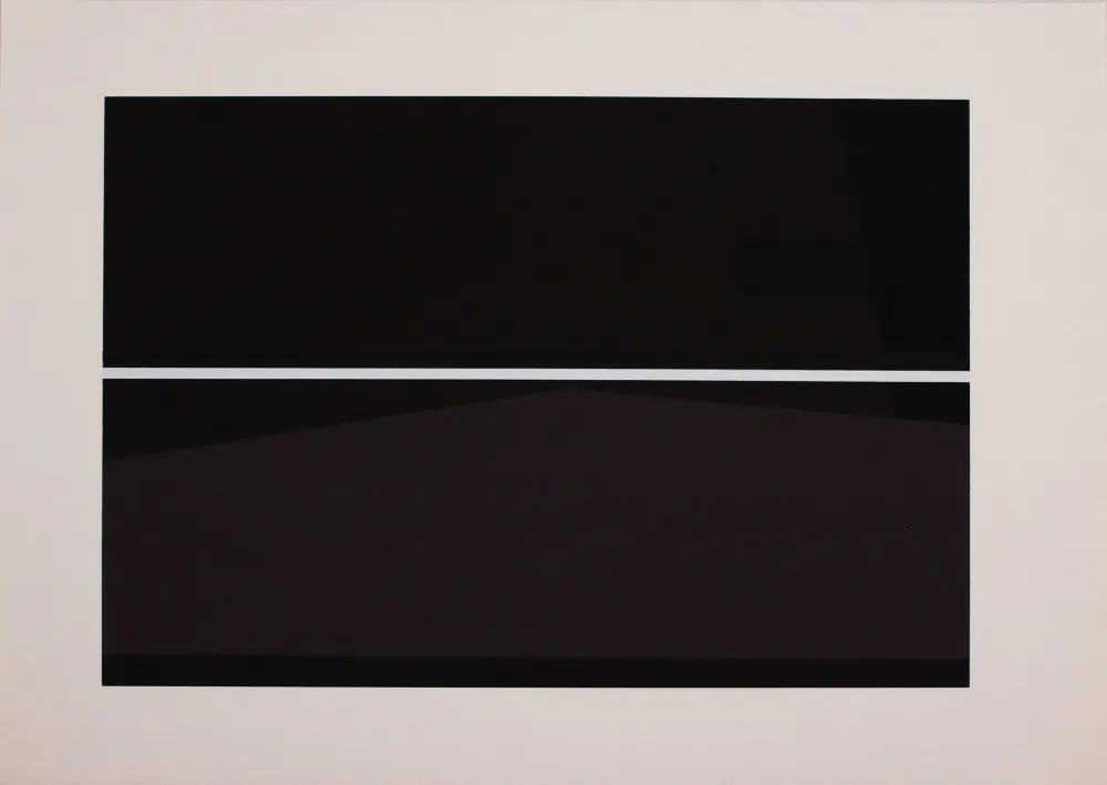 シルクスクリーン Badiali - Sei fasi progressive di verticalità elastica