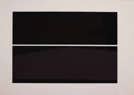 シルクスクリーン Badiali - Sei fasi progressive di verticalità elastica