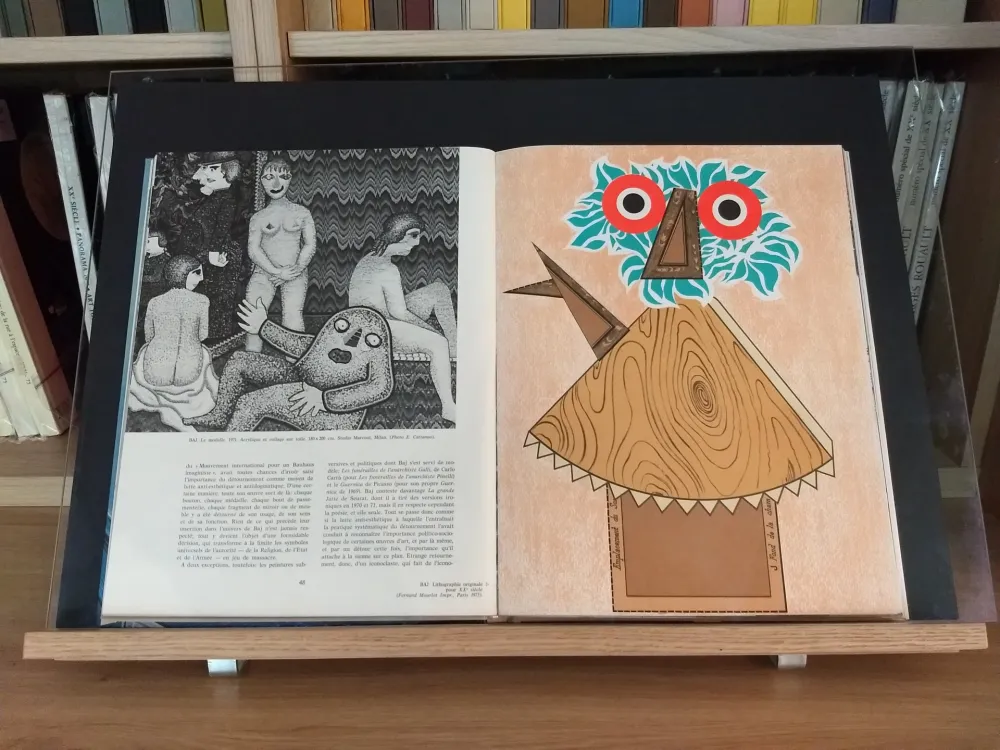 挿絵入り本 Baj - No 44