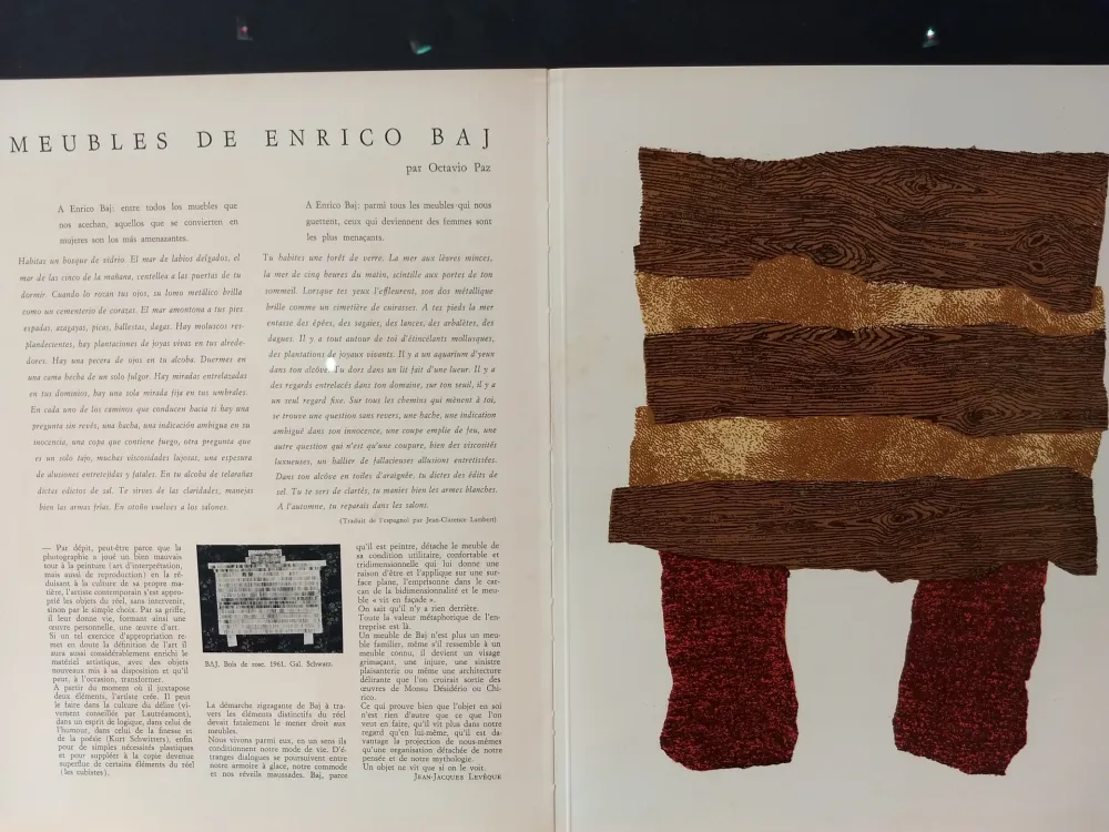 挿絵入り本 Baj - Xxe No 20