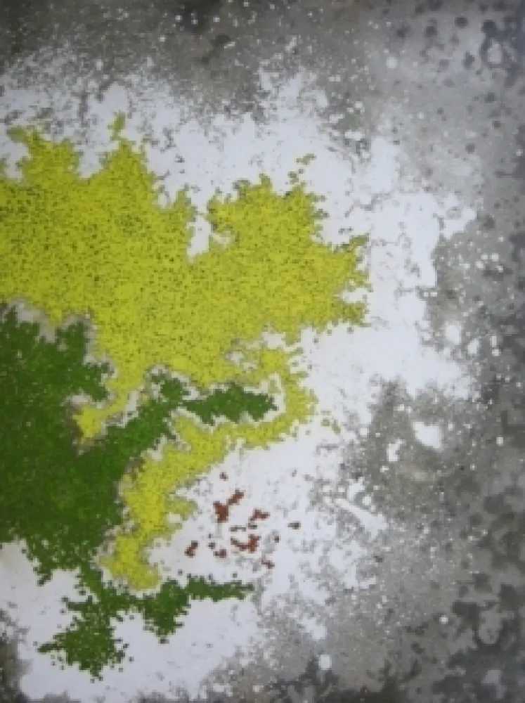 彫版 Ballif - LeVenez