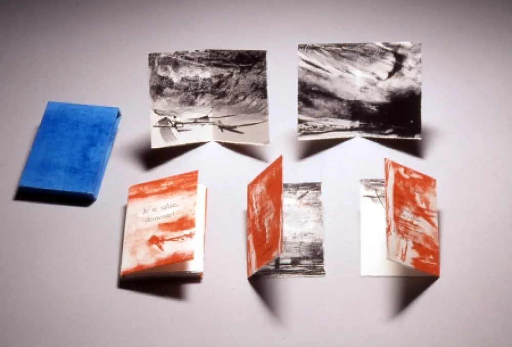 リトグラフ Baltazar - Je te salue démente!