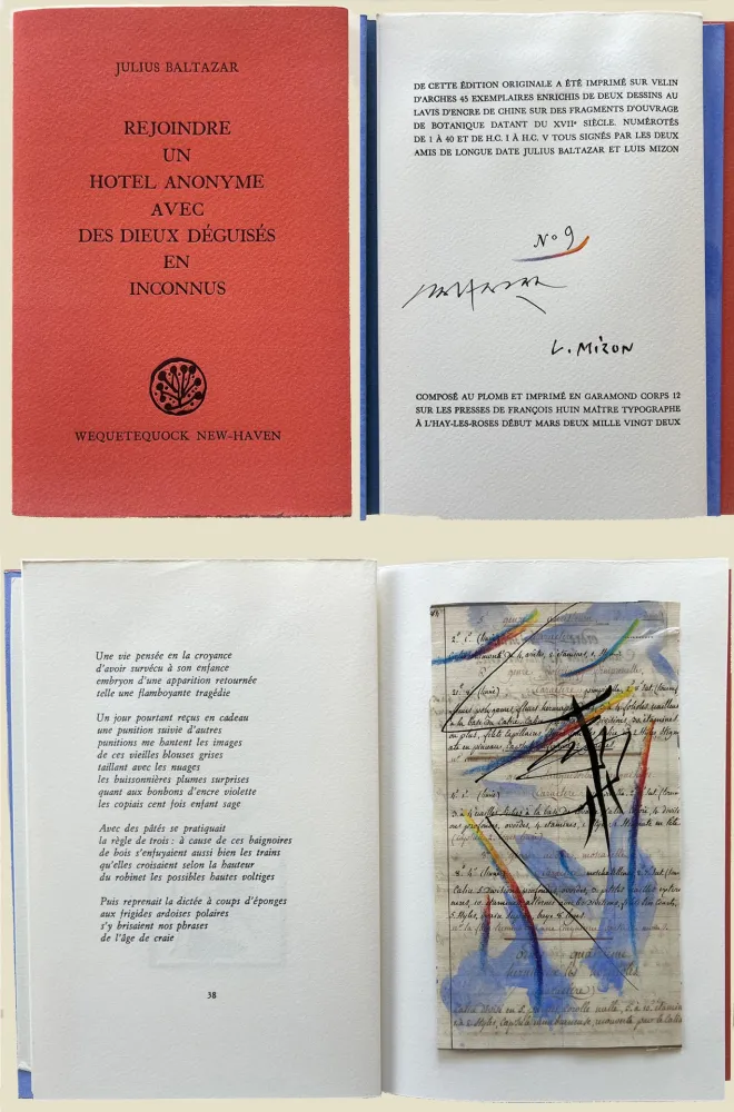 モノタイプ Baltazar - (Luis Mizón) REJOINDRE UN HOTEL ANONYME AVEC DES DIEUX DÉGUISÉS EN INCONNUS (2022)‎