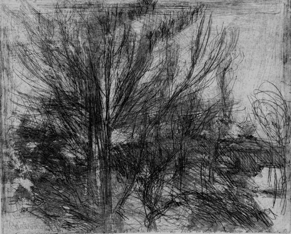 エッチング Barbisan - Alberi