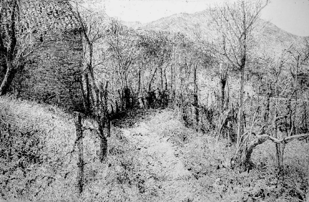 エッチング Barbisan - Paesaggio in collina