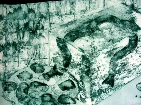 カーボランダム Barcelo - ANGUILAS