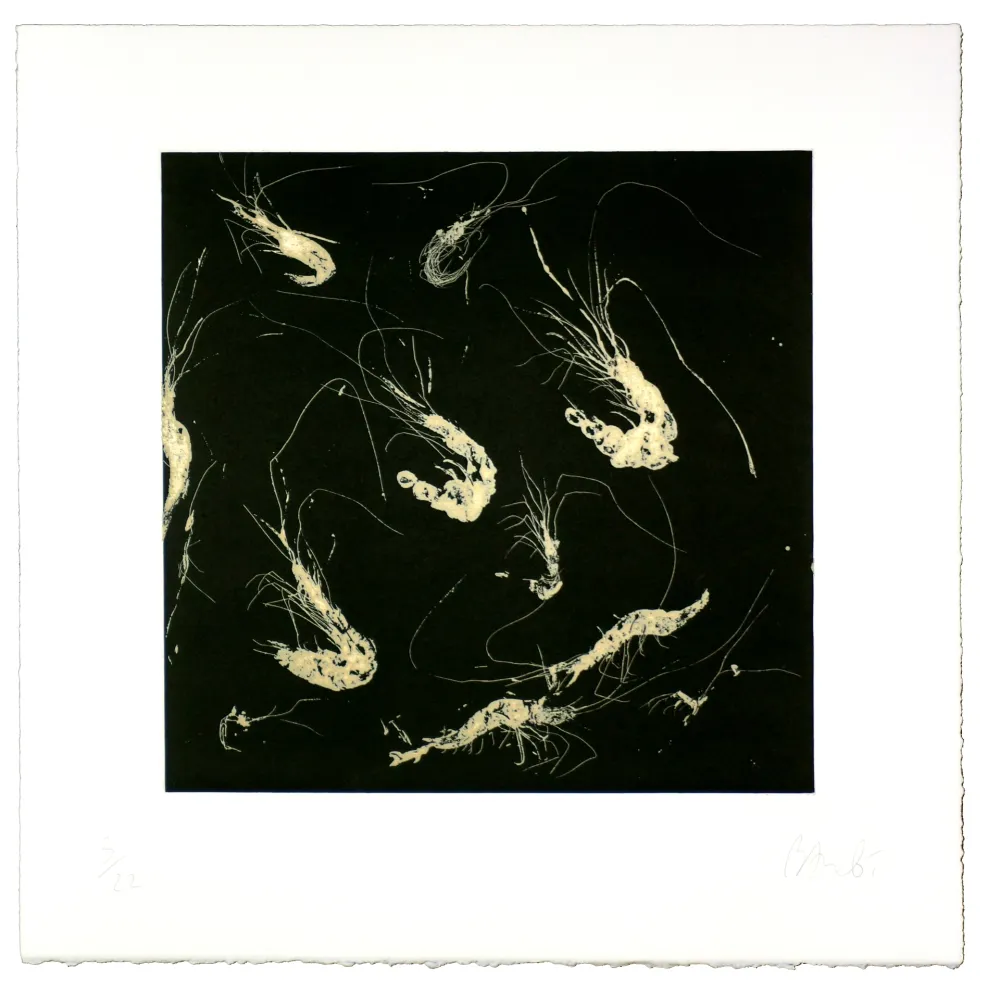 アクチアント Barcelo - Crevette dans tous les états