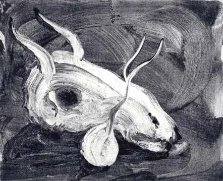 エッチングと　アクチアント Barcelo - Lanzarote 12