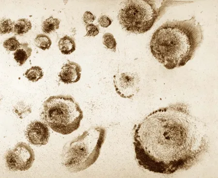 エッチングと　アクチアント Barcelo - Lanzarote 18