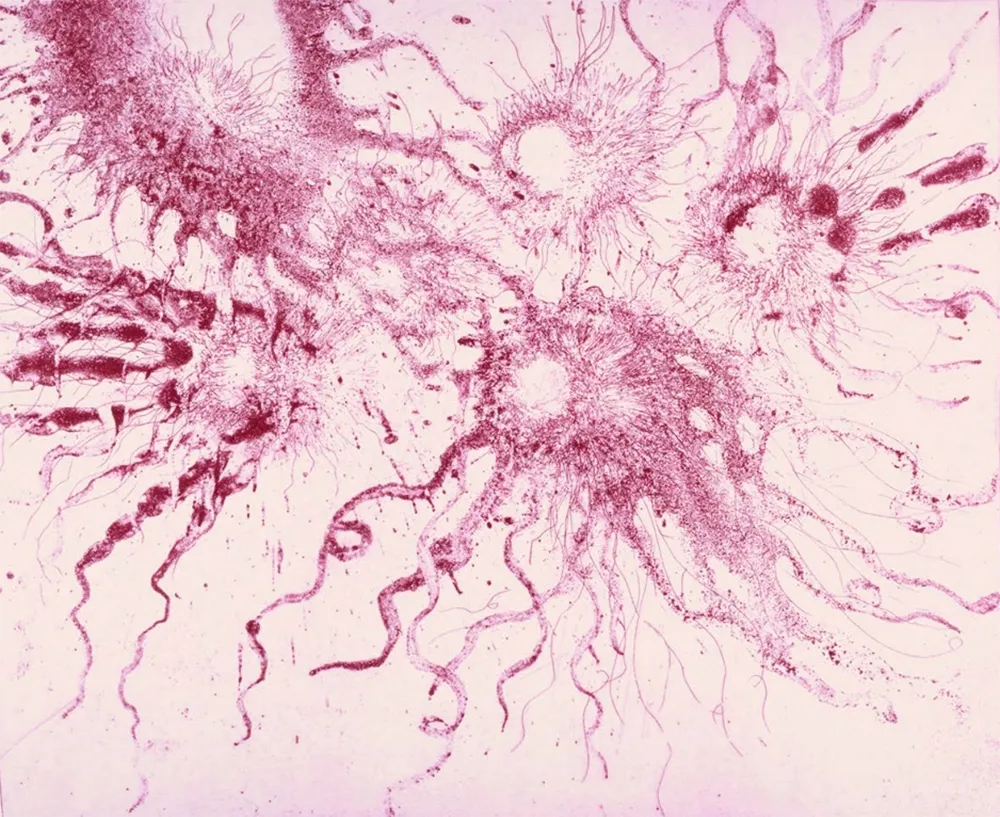 エッチングと　アクチアント Barcelo - Lanzarote 20