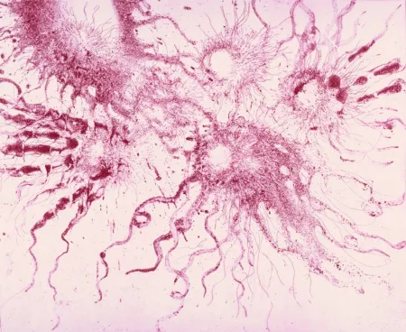 エッチングと　アクチアント Barcelo - Lanzarote 20