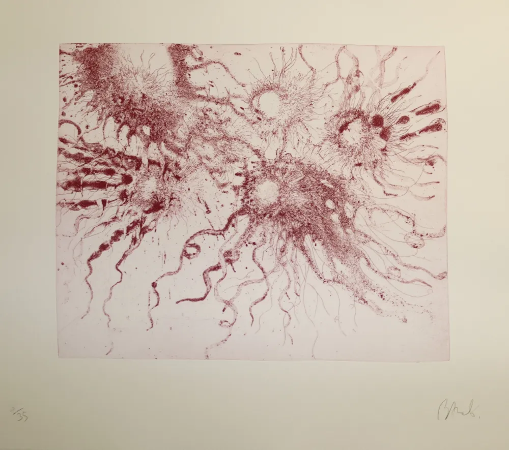 エッチングと　アクチアント Barcelo - Lanzarote 20