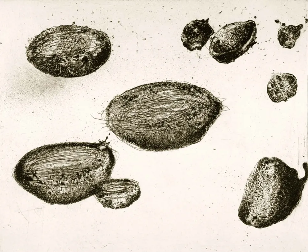 エッチングと　アクチアント Barcelo - Lanzarote 22