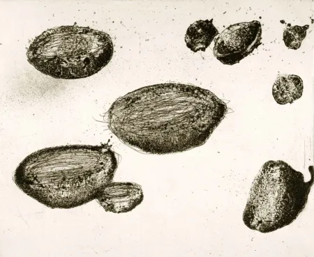 エッチングと　アクチアント Barcelo - Lanzarote 22