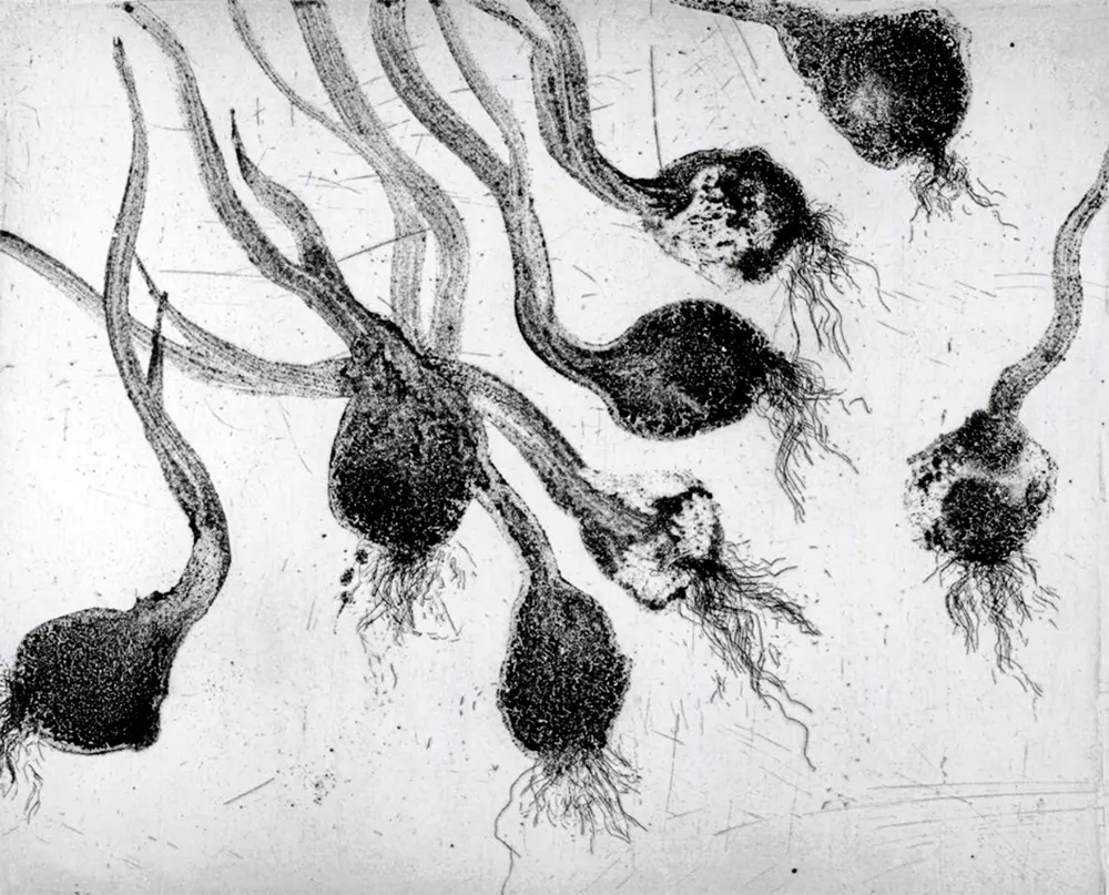 エッチングと　アクチアント Barcelo - Lanzarote 24