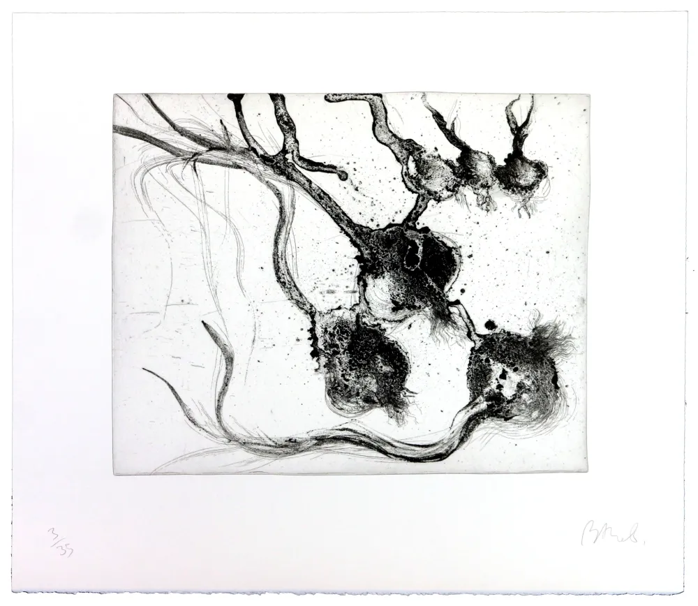 彫版 Barcelo - Lanzarote 25