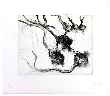 彫版 Barcelo - Lanzarote 25