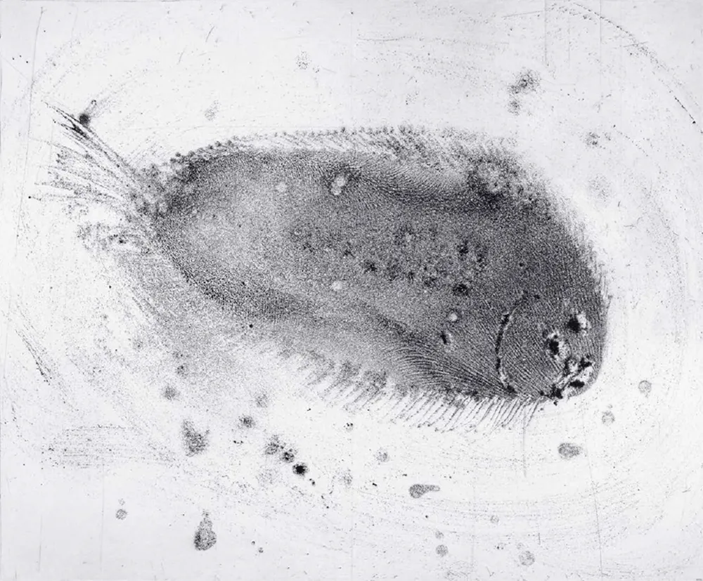 エッチングと　アクチアント Barcelo - Lanzarote 39