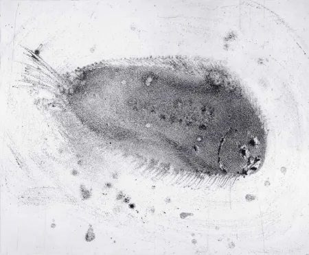 エッチングと　アクチアント Barcelo - Lanzarote 39