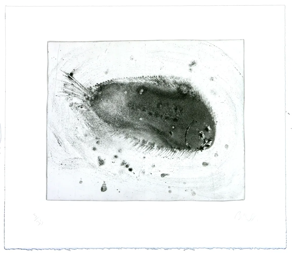 彫版 Barcelo - Lanzarote 39