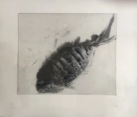 アクチアント Barcelo - Lanzarote 40