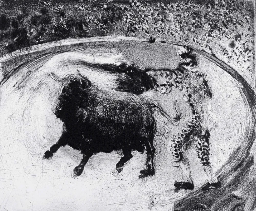 アクチアント Barcelo - Lanzarote 49