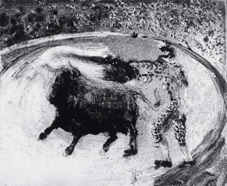 アクチアント Barcelo - Lanzarote 49