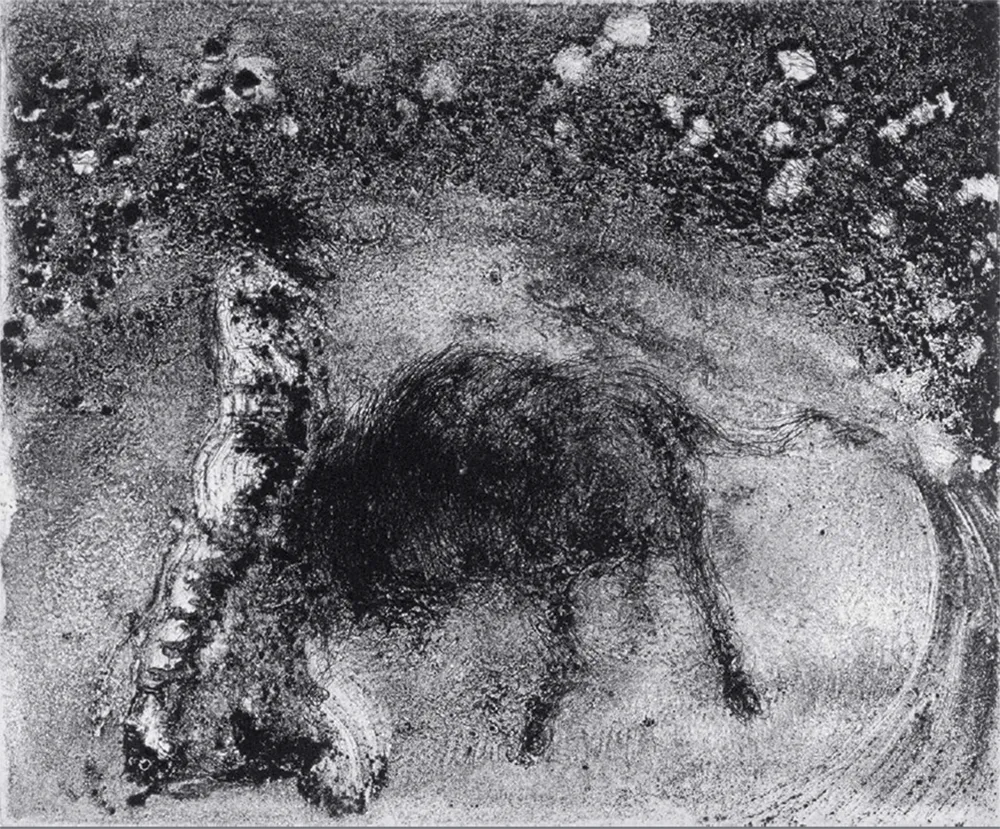 アクチアント Barcelo - Lanzarote 50