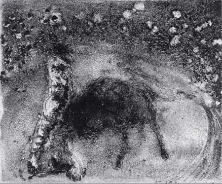 アクチアント Barcelo - Lanzarote 50