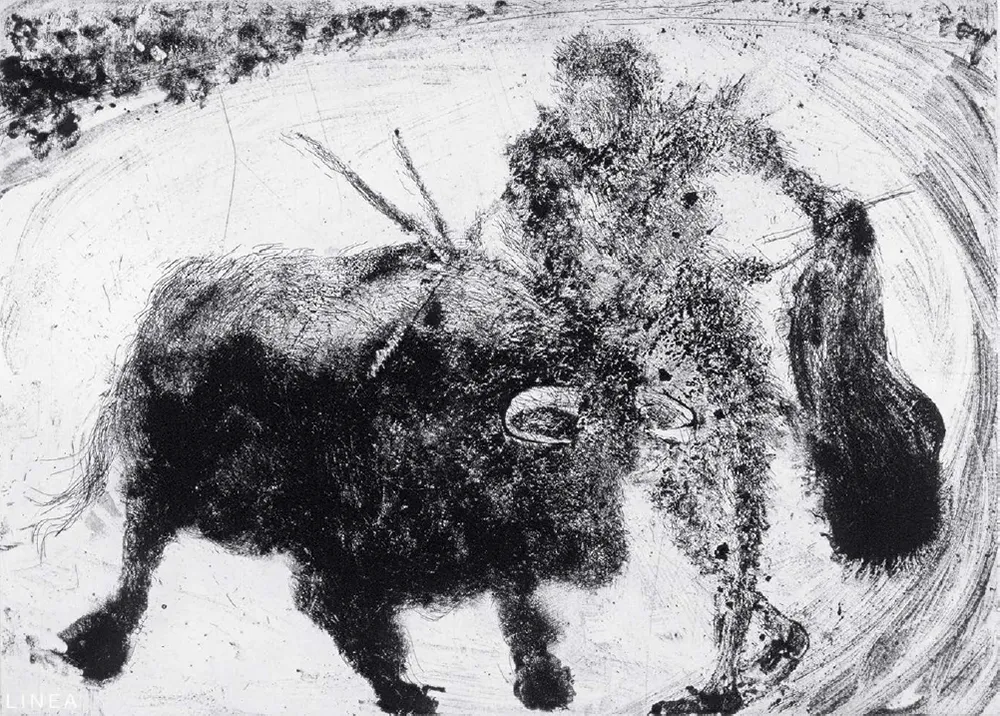 アクチアント Barcelo - Lanzarote 53