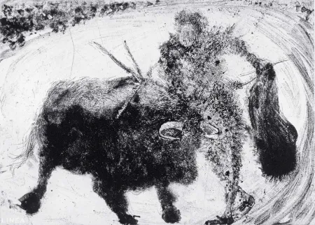 アクチアント Barcelo - Lanzarote 53