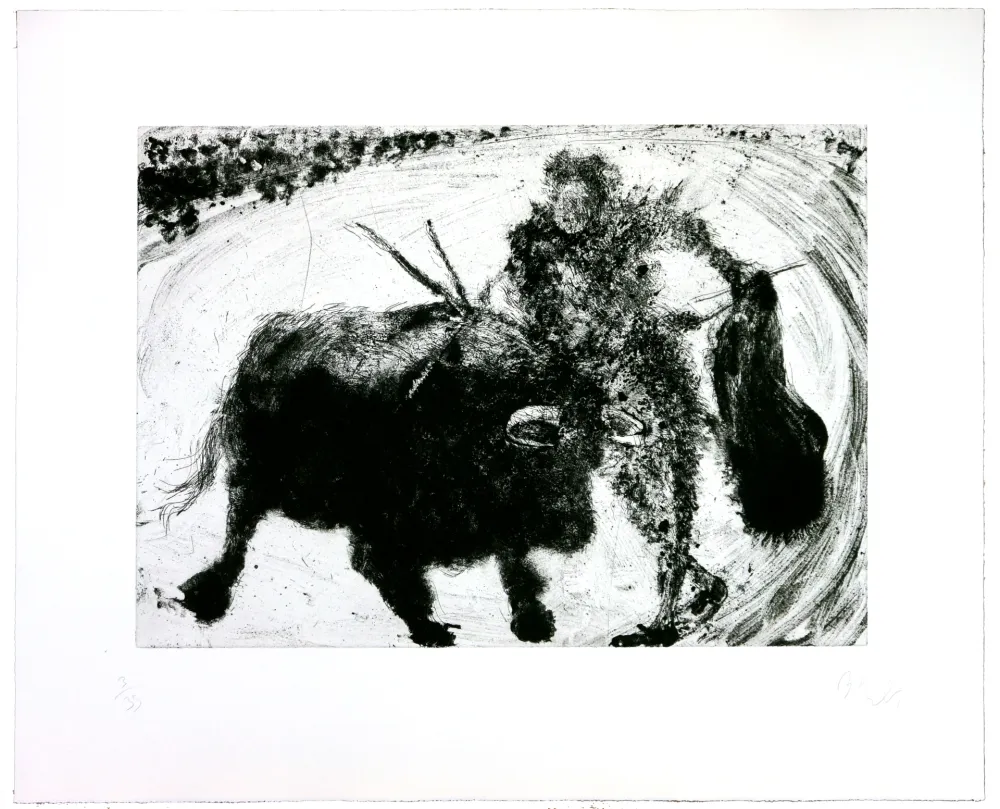 彫版 Barcelo - Lanzarote 53