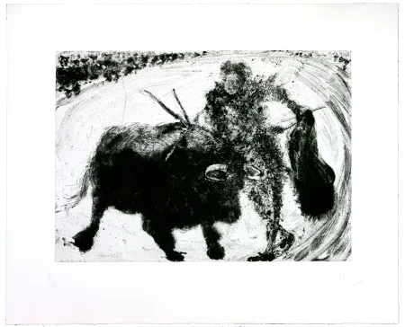 彫版 Barcelo - Lanzarote 53