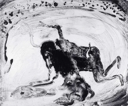 アクチアント Barcelo - Lanzarote 55