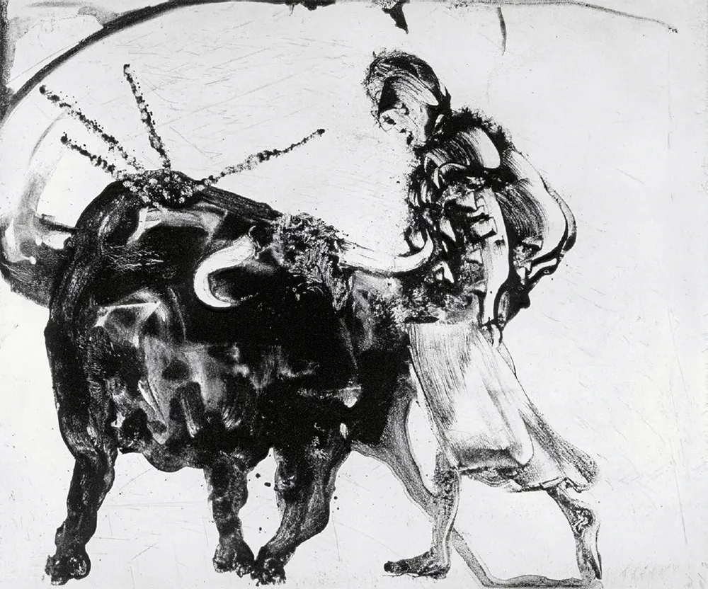 アクチアント Barcelo - Lanzarote 56