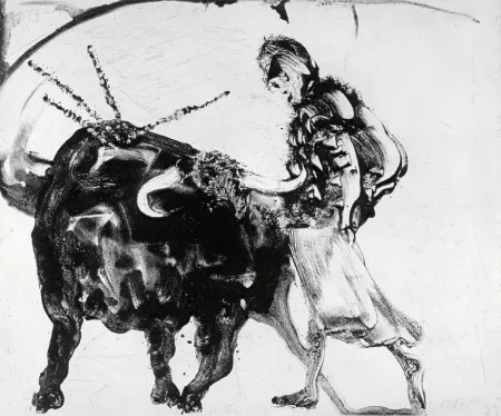 アクチアント Barcelo - Lanzarote 56