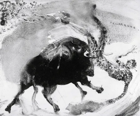 エッチングと　アクチアント Barcelo - Lanzarote 58