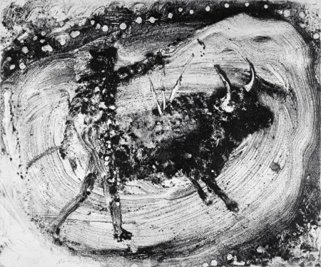 アクチアント Barcelo - Lanzarote 59