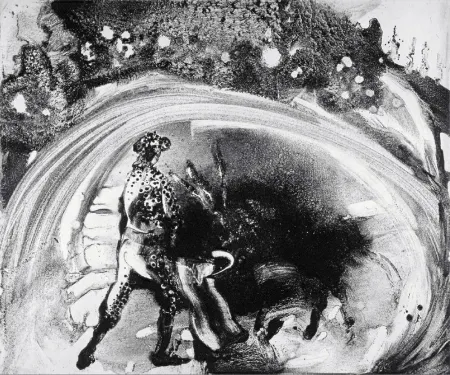 アクチアント Barcelo - Lanzarote 60