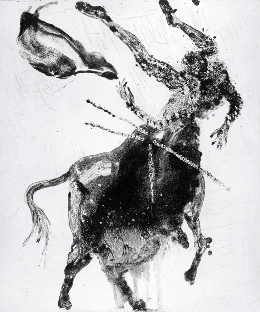 エッチングと　アクチアント Barcelo - Lanzarote 62